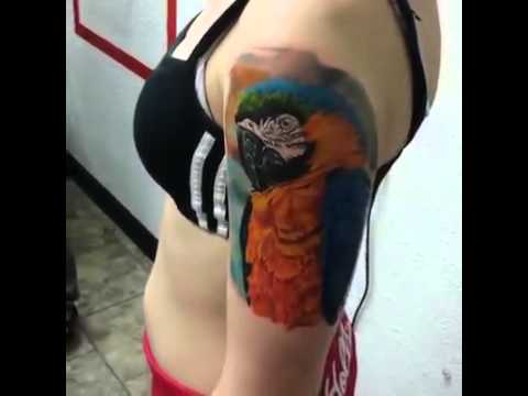 Parrot Tattoo On Girl Left Half Sleeve By Alan Ramirez