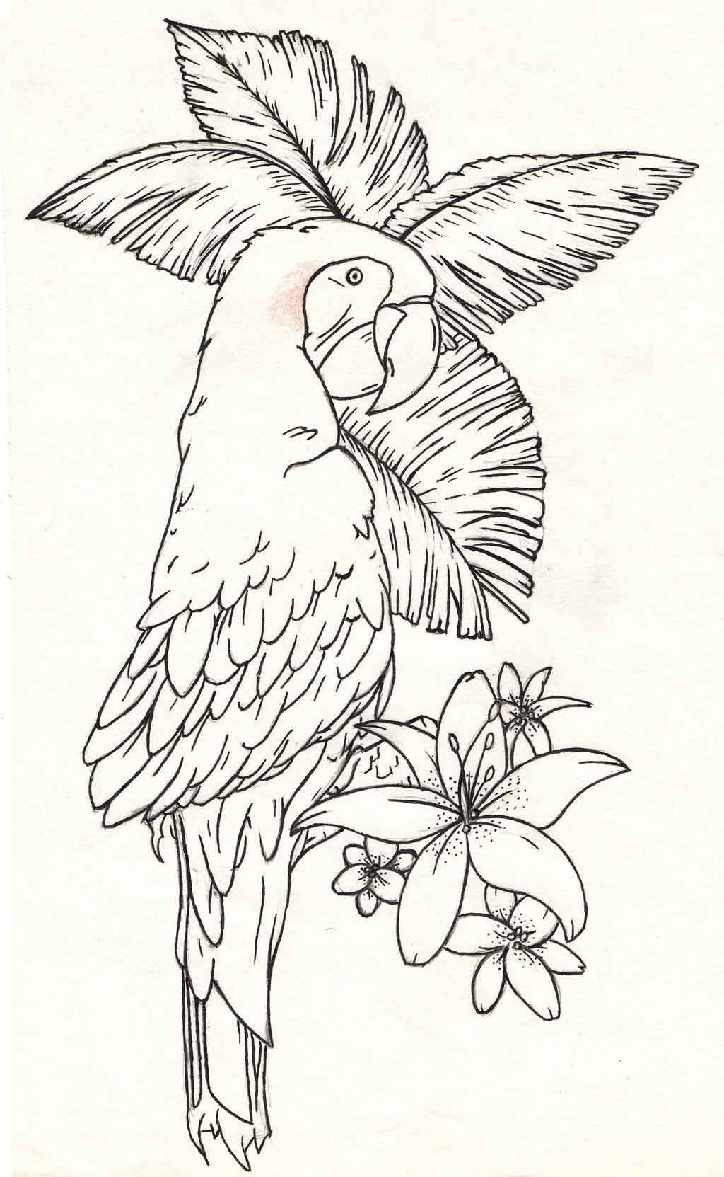 Parrot With Flower Tattoo Stencil By Daniel Falk