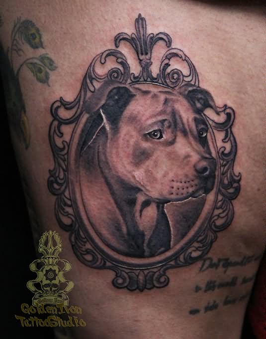 Pit Bull Dog Head Tattoo Design For Thigh