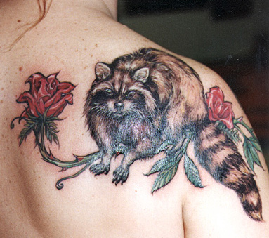 Red Rose And Raccoon Tattoo On Right Back Shoulder