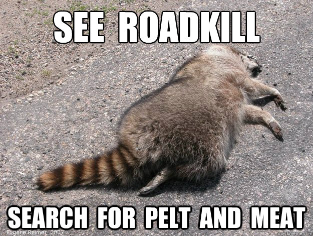 See Roadkill Search For Pelt And Meat Funny Image