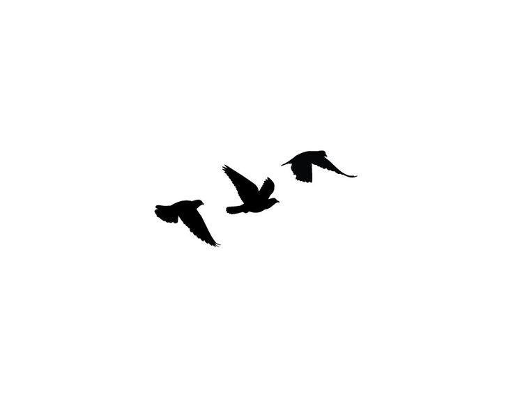 Silhouette Tattoo Flying Bird Stencil