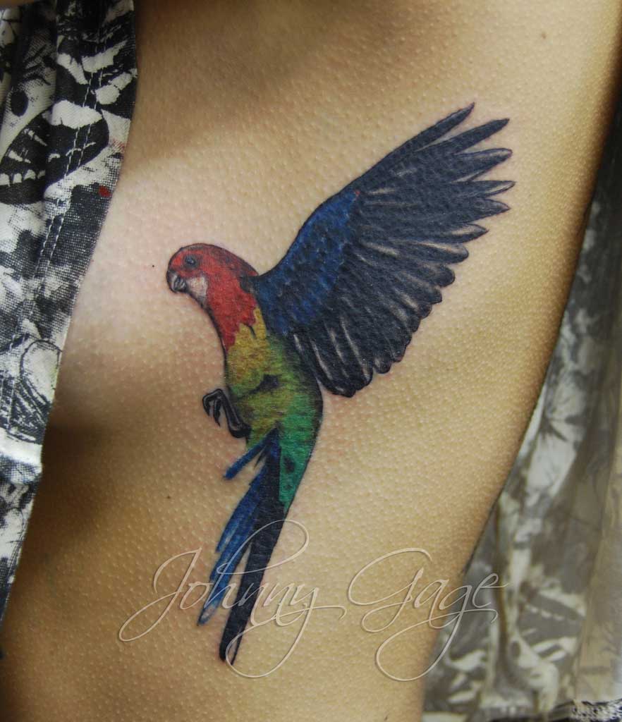 Simple Colorful Flying Parrot Tattoo Design By Johnny Gage