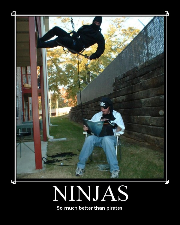 So Much Better Than Pirates Funny Ninja Poster