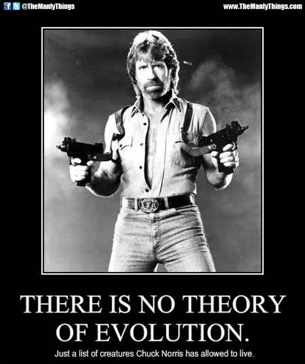 There Is No Theory Of Evolution Funny Chuck Norris Picture