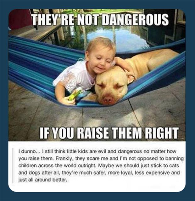 They Are Not Dangerous Funny Picture
