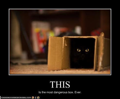 This Is The Most Dangerous Box Ever Funny Picture