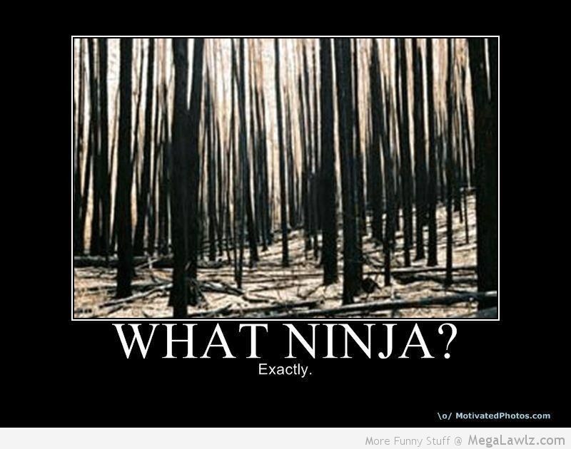 What Ninja Exactly Funny Image