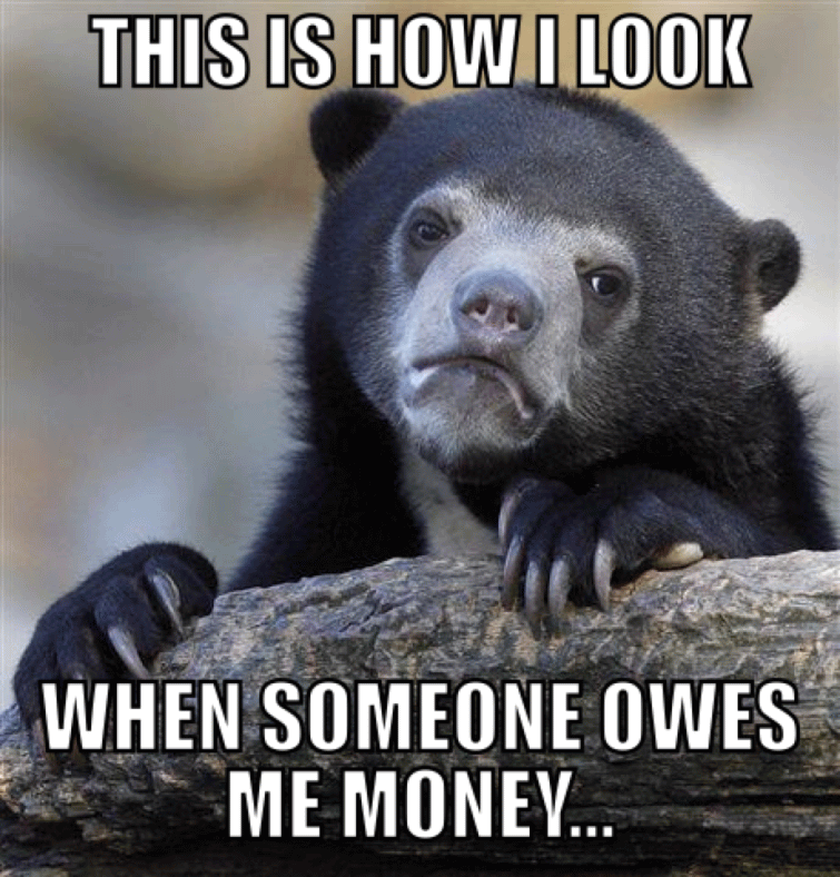 When Someone Owes Me Money Funny Bear Meme Image