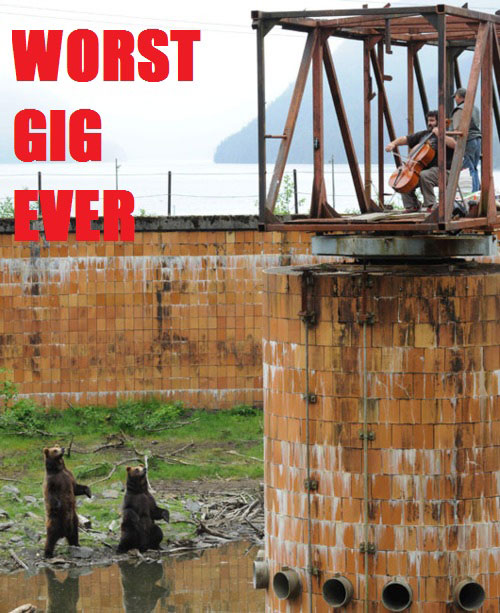 Worst Gig Ever Bears Funny Musicians Picture