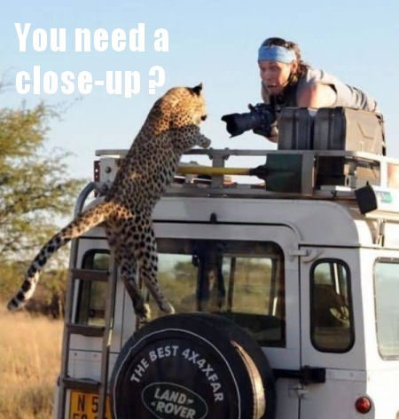 You Need A Close Up Funny Leopard Dangerous Image