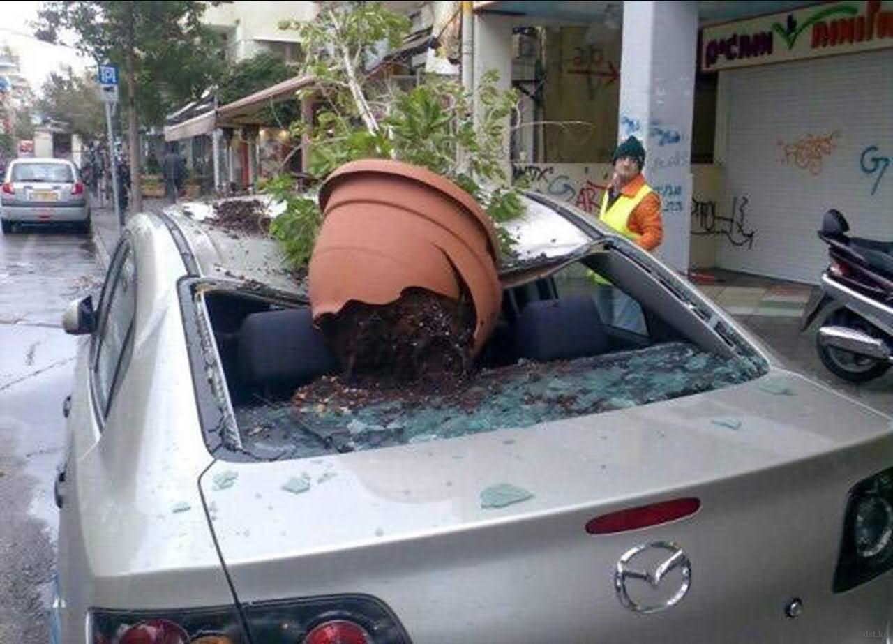 Flower Pot Falling On Car Funny Situations Image