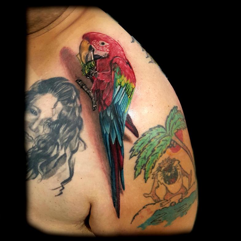 3D Colorful Parrot Tattoo Design For Front Shoulder