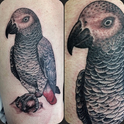 Amazing Black Ink Parrot Tattoo Design