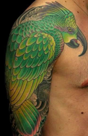 Attractive Parrot Tattoo On Man Right Shoulder