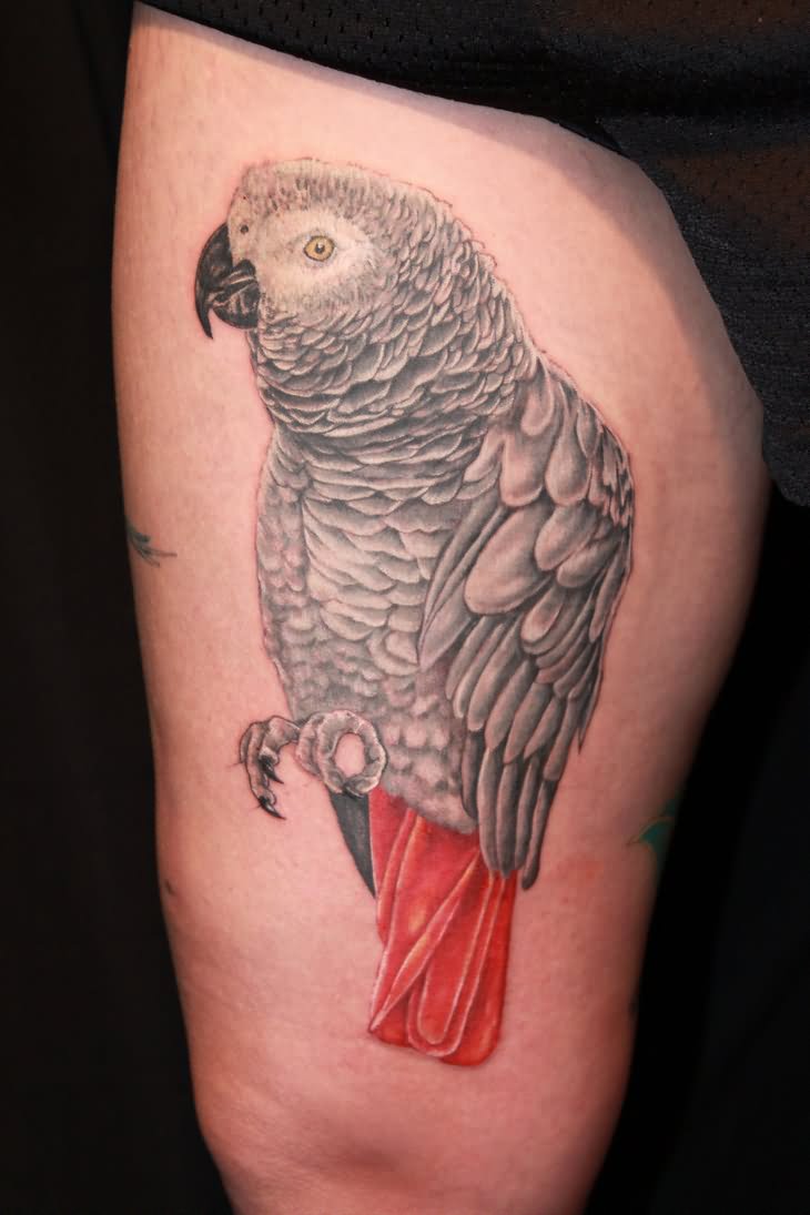 Black And Grey Parrot Tattoo On Thigh