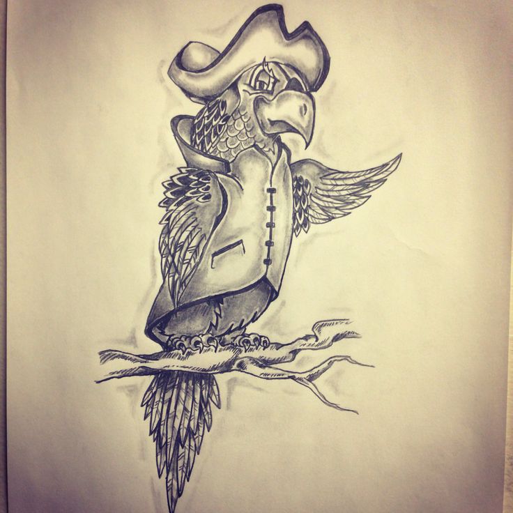 Black And Grey Pirate Parrot Tattoo Design
