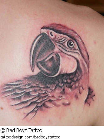 Black Ink Parrot Head Tattoo Design For Back Shoulder
