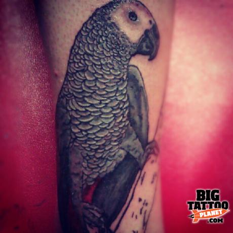 Black Ink Parrot Tattoo Design