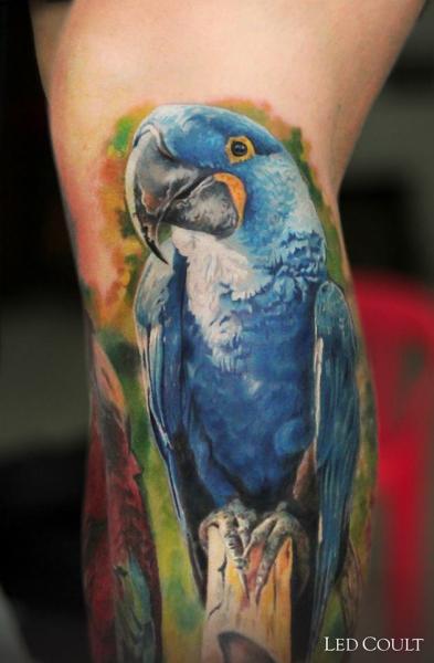 Blue Ink Parrot Tattoo Design