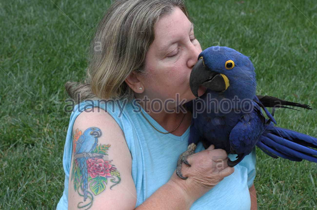 Blue Ink Parrot With Flowers Tattoo On Women Right Half Sleeve