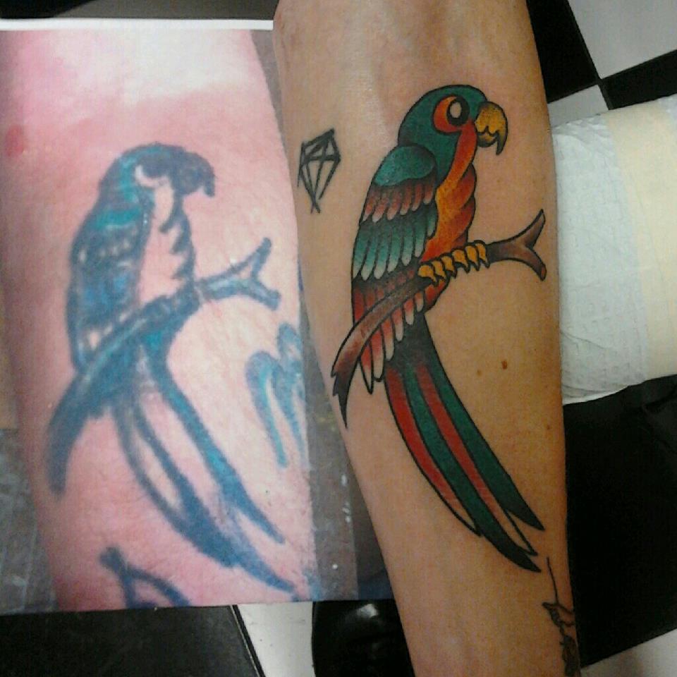 Colorful Parrot Tattoo Design For Forearm