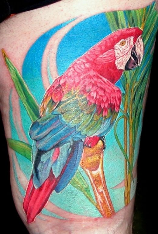 Colorful Parrot Tattoo Design For Thigh