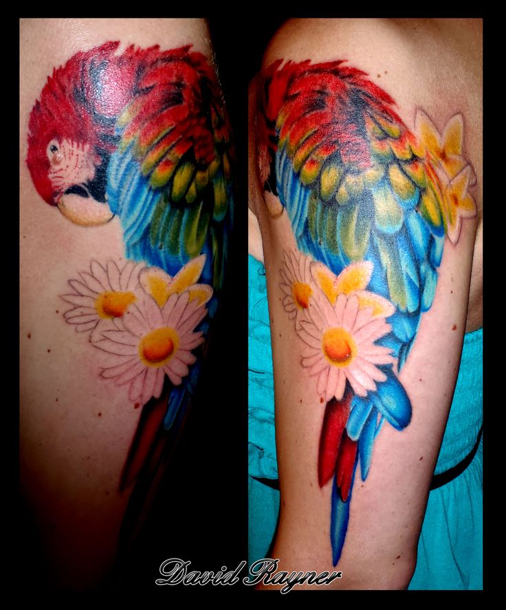 Colorful Parrot With Flower Tattoo On Half Sleeve
