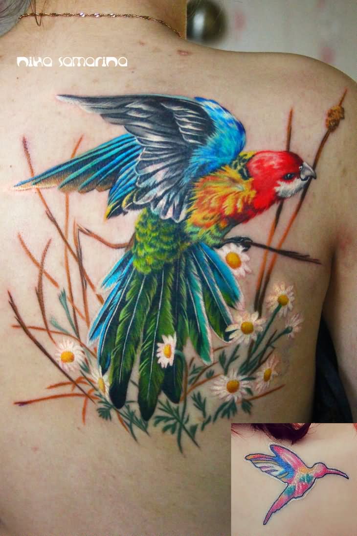 Colorful Parrot With Flowers Tattoo On Right Back Shoulder