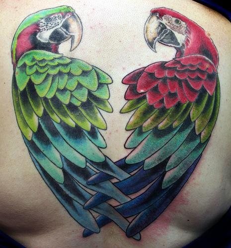 Colorful Two Parrot Tattoo Design