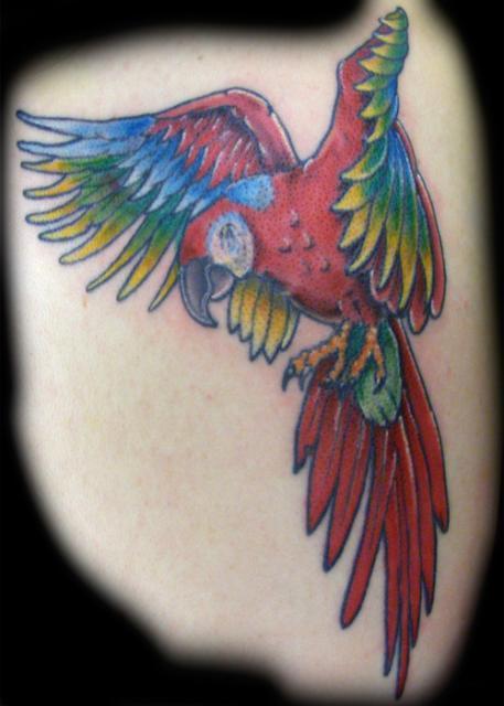 Cool Colorful Flying Parrot Tattoo Design