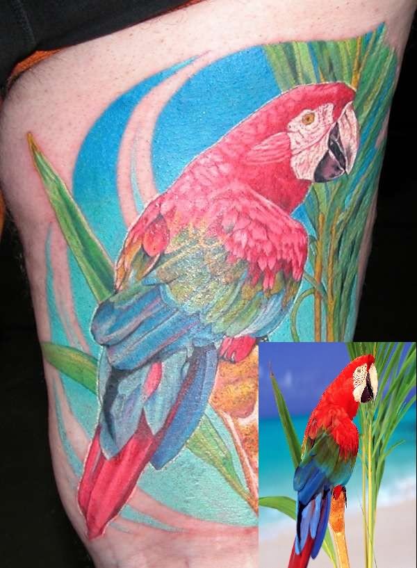 Cool Colorful Parrot Tattoo Design For Thigh