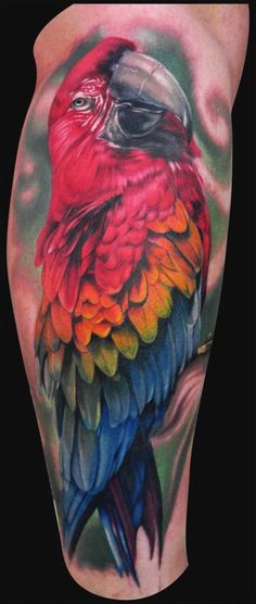 Cute Colorful Parrot Tattoo Design For Leg