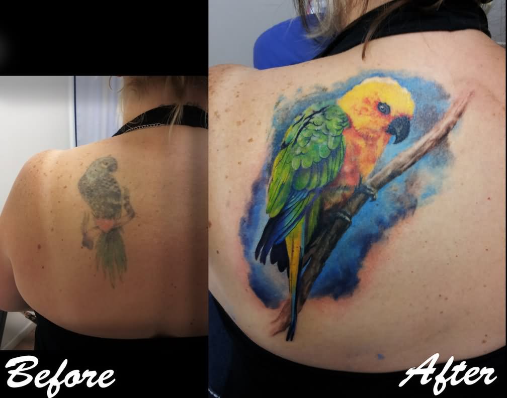 Cute Colorful Parrot Tattoo On Left Back Shoulder
