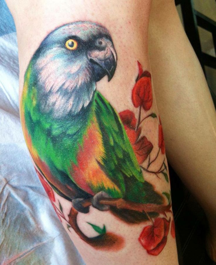 Cute Parrot Sit On Branch Tattoo Design
