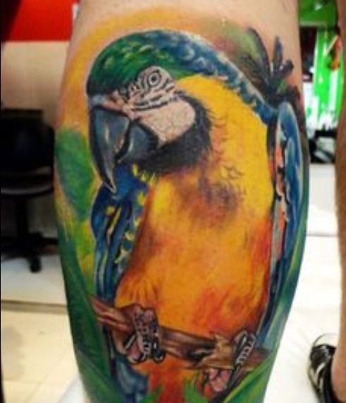 Cute Parrot Tattoo On Leg Calf
