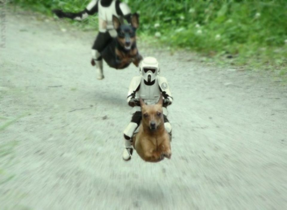 Darth Vader On Flying Dog Funny Star Wars Picture