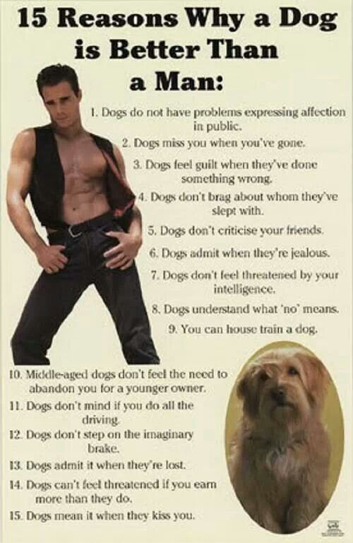 Funny Reason Why A Dog Is Better Than A Man Picture