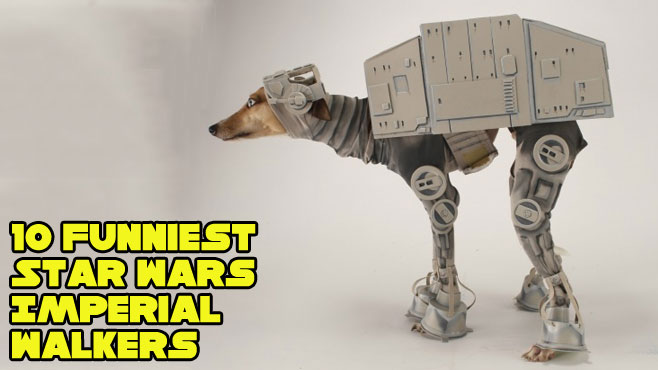 Funny Star Wars Dog Image