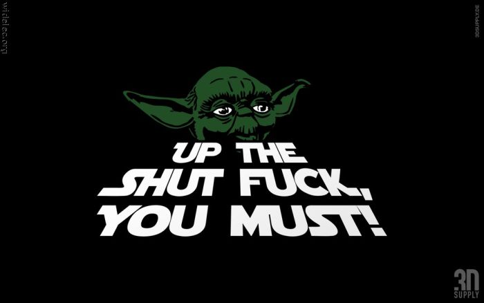Funny Star Wars Up Shut Fuck You Must Image