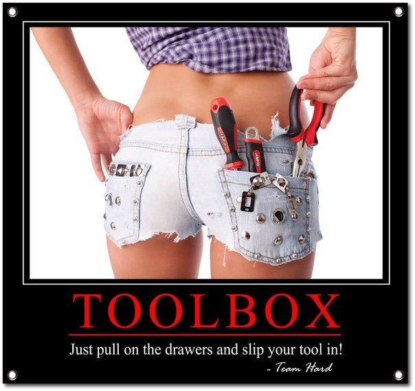 Funny Tool Box Shorts Picture