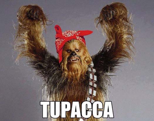 Funny Wookiee Star Wars Image