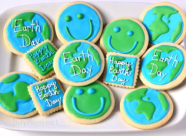 Happy Earth Day Cookies Picture