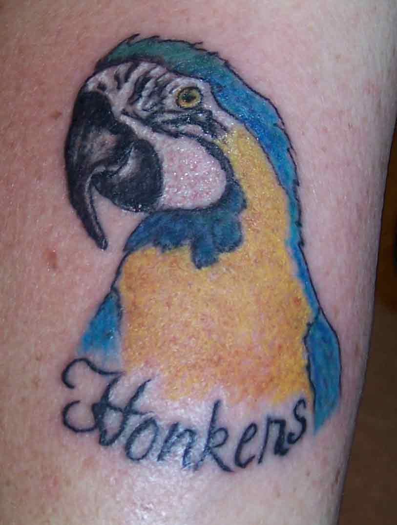 Honkers - Colorful Parrot Tattoo Design
