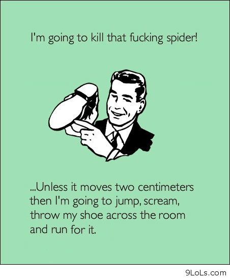 I Am Going To Kill That Fucking Spider Funny Man Picture