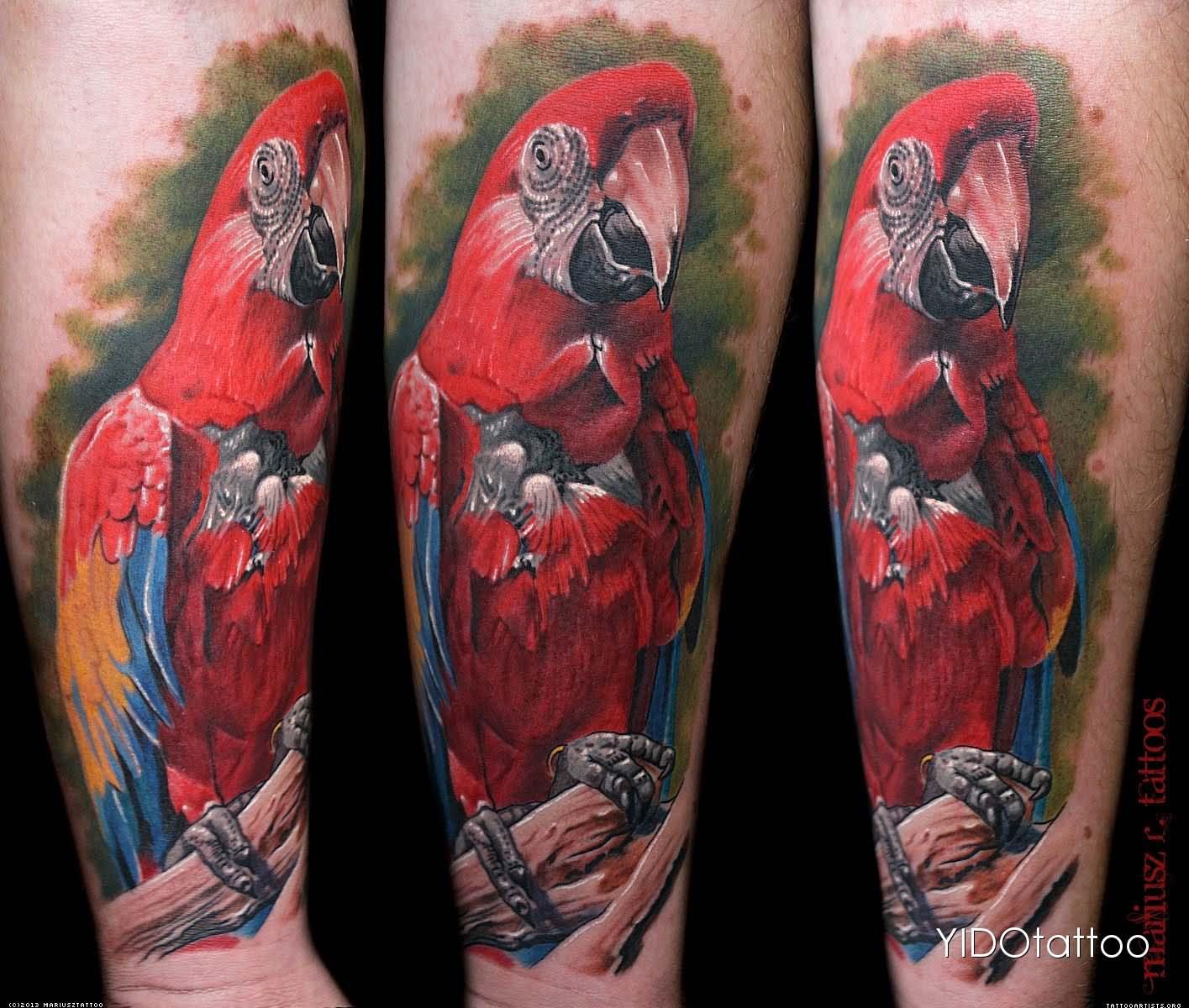 Inspiring Colorful Parrot Tattoo Design For Forearm