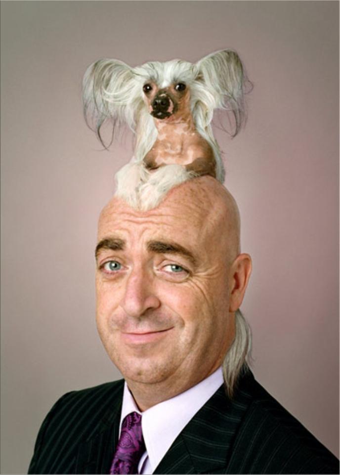 Man With Dog Wig Funny Picture For Facebook