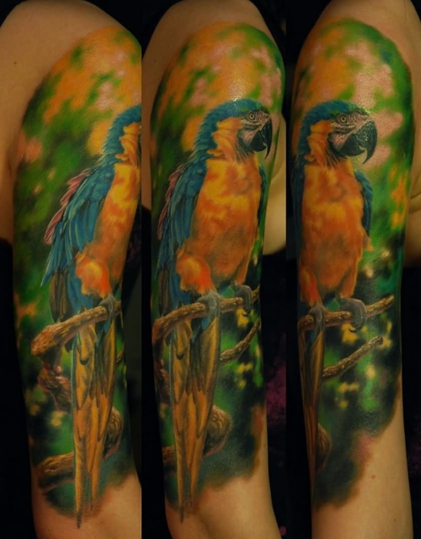Mind Blowing Parrot Tattoo Design For Half Sleeve