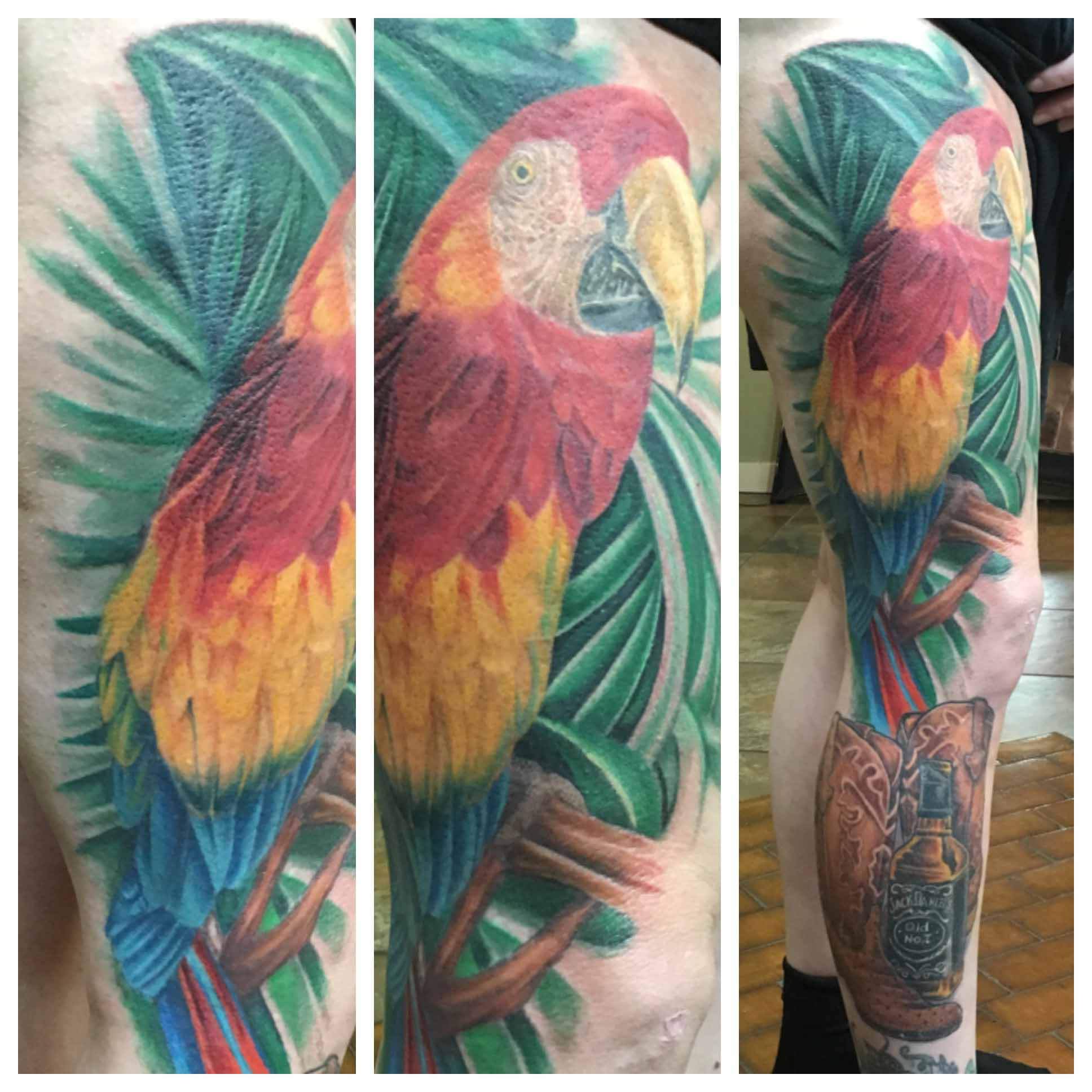 Nice Colorful Parrot Tattoo On Side Thigh
