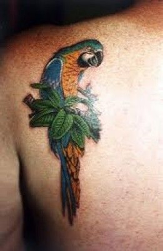 Parrot Tattoo On Left Back Shoulder
